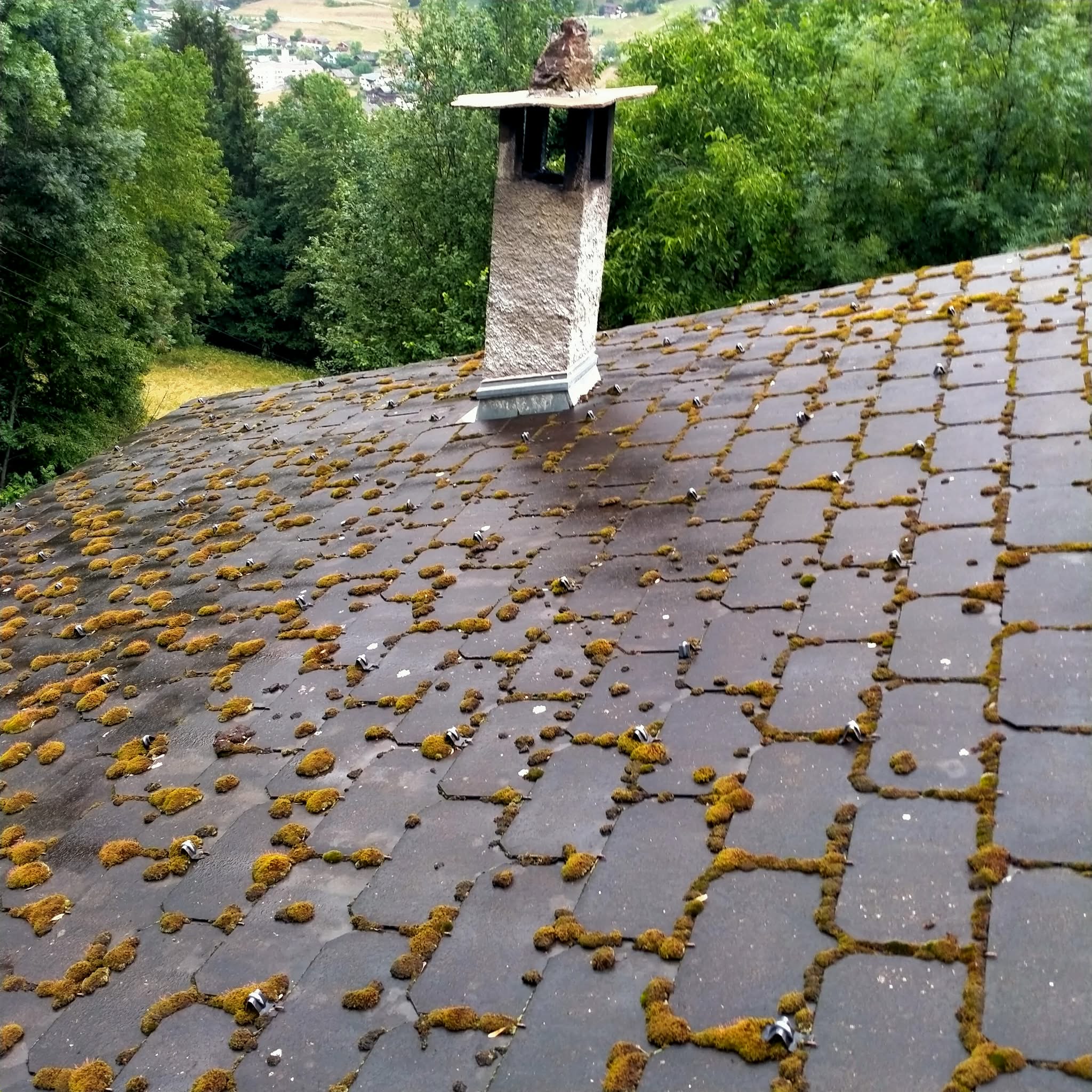 Toiture avant travaux — ardoises envahies par la mousse